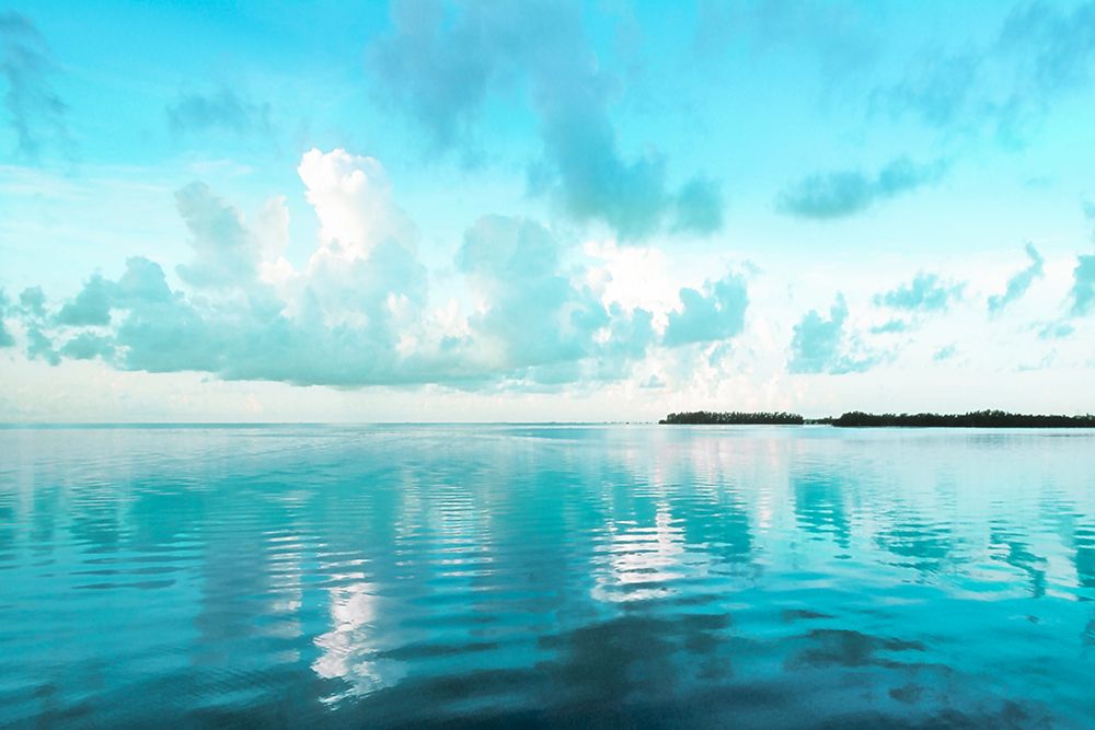 Biscayne Bay art print by Danita Delimont for $57.95 CAD
