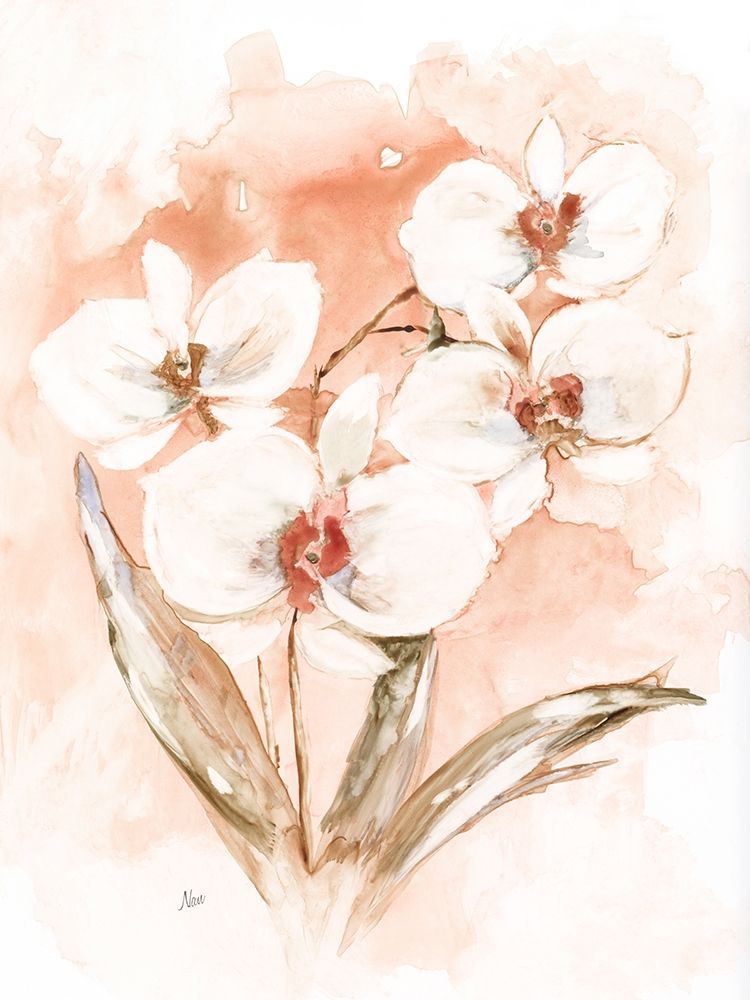 White and Coral Orchid I art print by Nan for $57.95 CAD