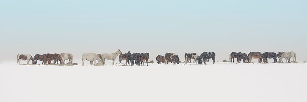 Big Sky Country art print by Danita Delimont for $57.95 CAD
