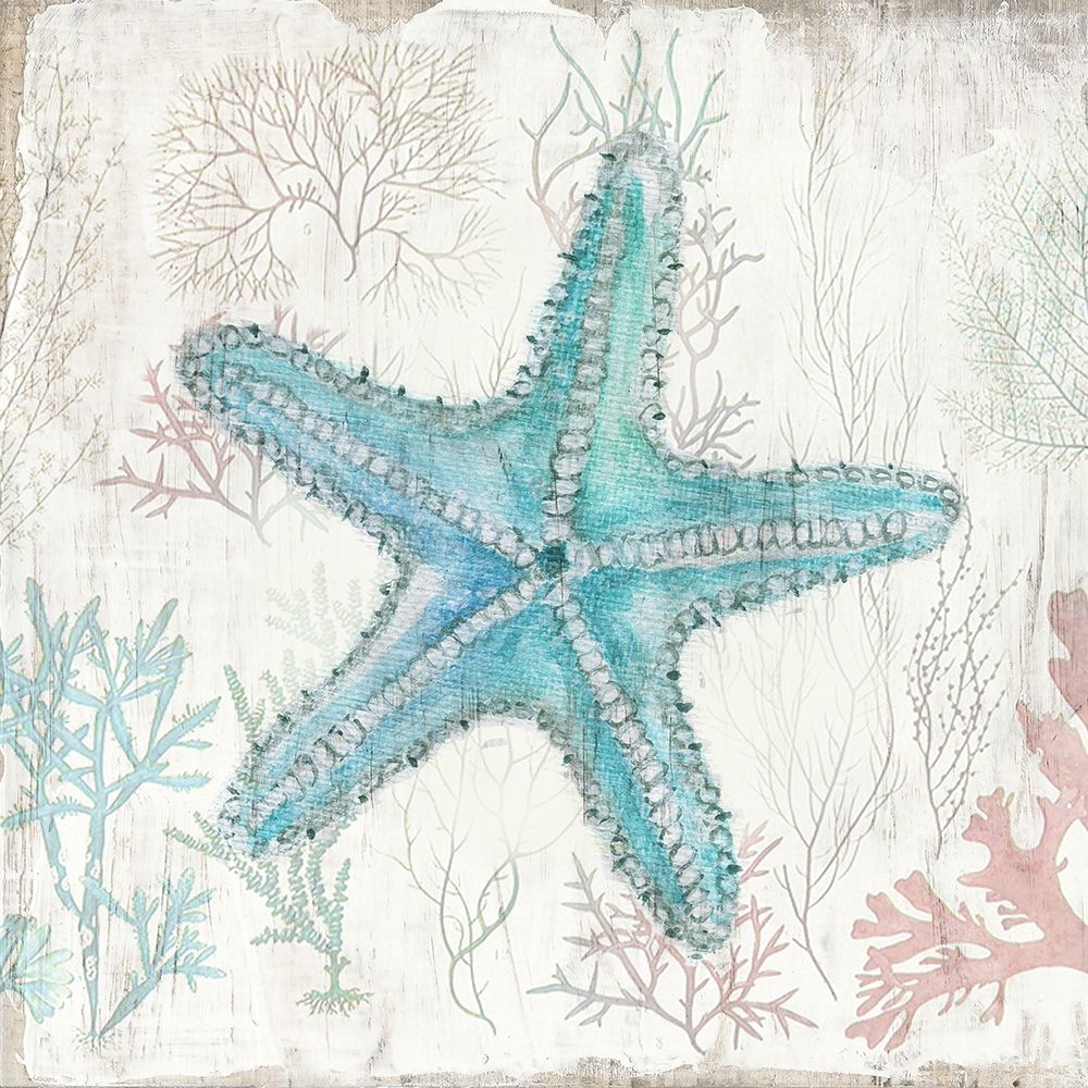 Coral and Shell III art print by Tava Studios for $57.95 CAD