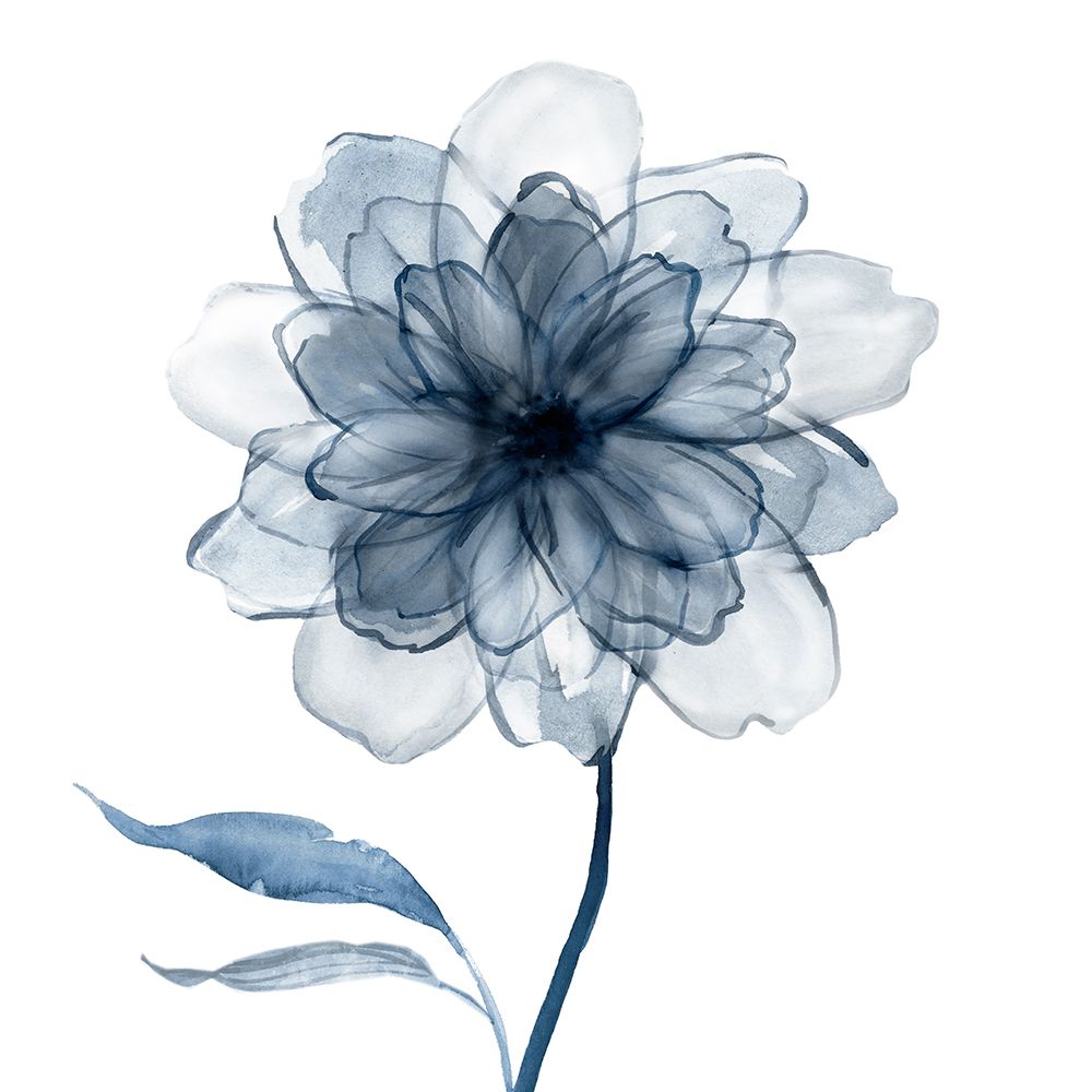 Indigo Bloom IV art print by Carol Robinson for $57.95 CAD