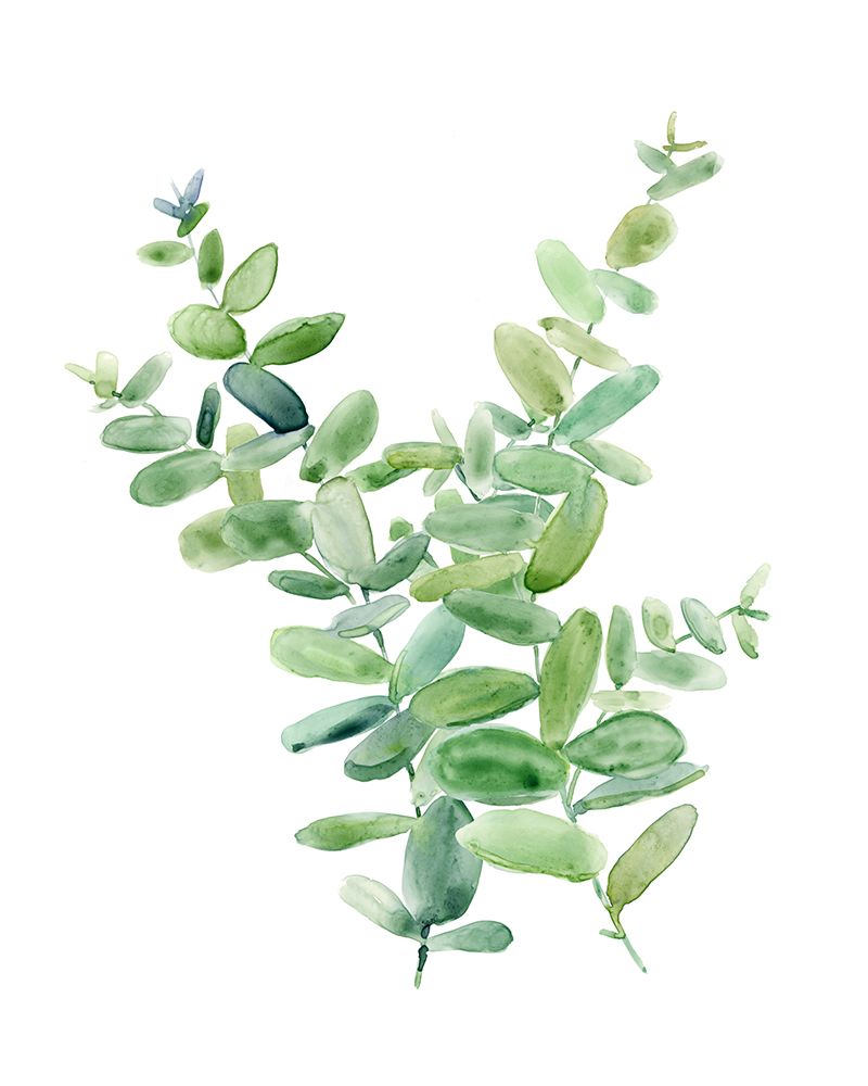 Eucalyptus III art print by Carol Robinson for $57.95 CAD