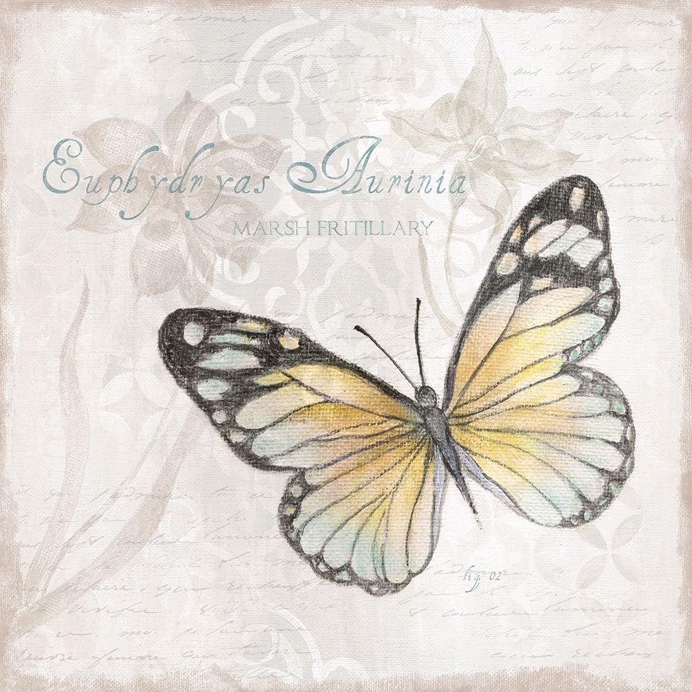 Postcard Butterfly II art print by Tava Studios for $57.95 CAD
