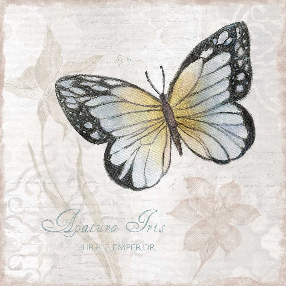 Postcard Butterfly IV art print by Tava Studios for $57.95 CAD