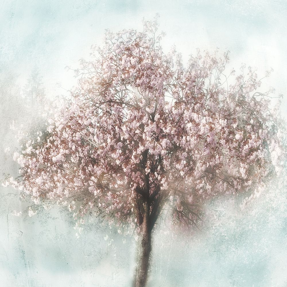 Awakening I art print by Irene Weisz for $57.95 CAD