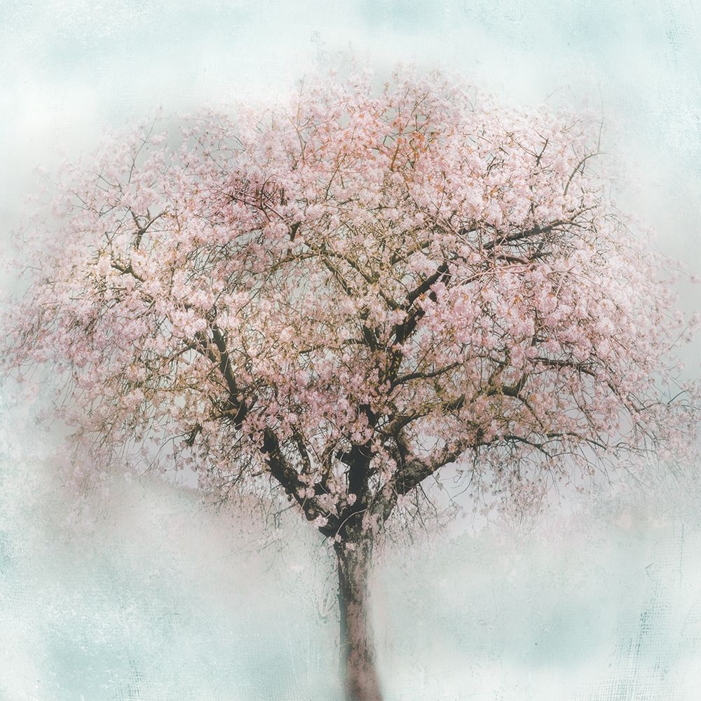 Awakening II art print by Irene Weisz for $57.95 CAD