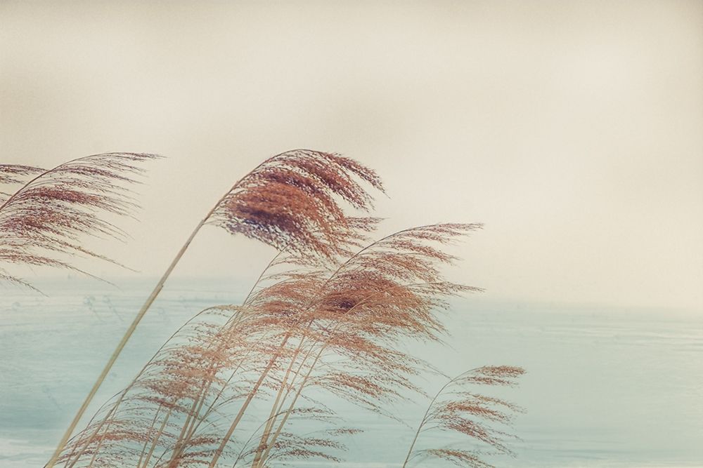 Windy I art print by Irene Weisz for $57.95 CAD