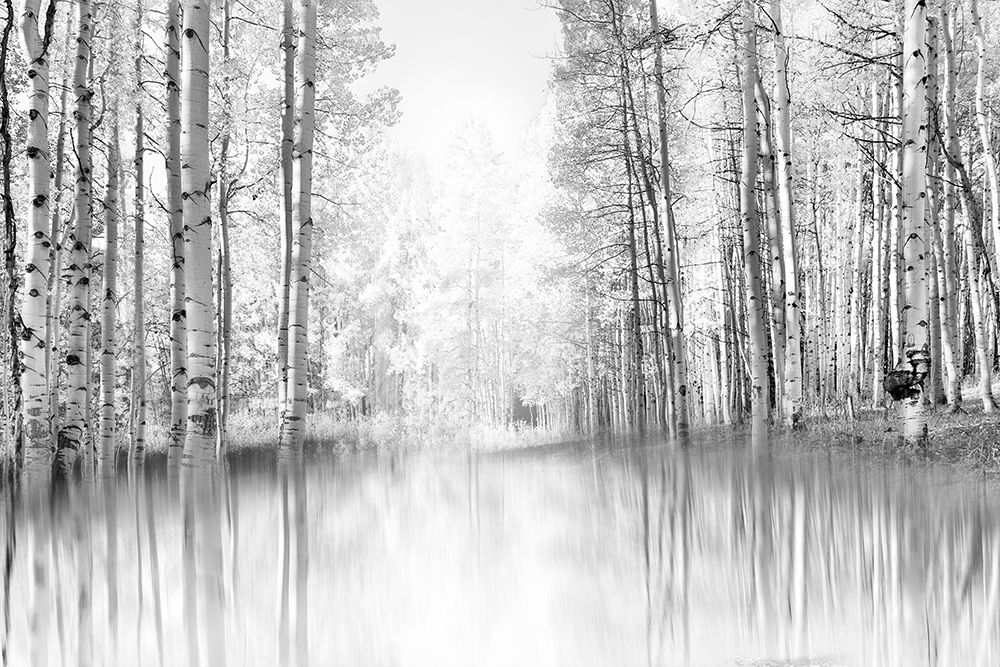Aspen Reflection art print by Darrell Gulin for $57.95 CAD