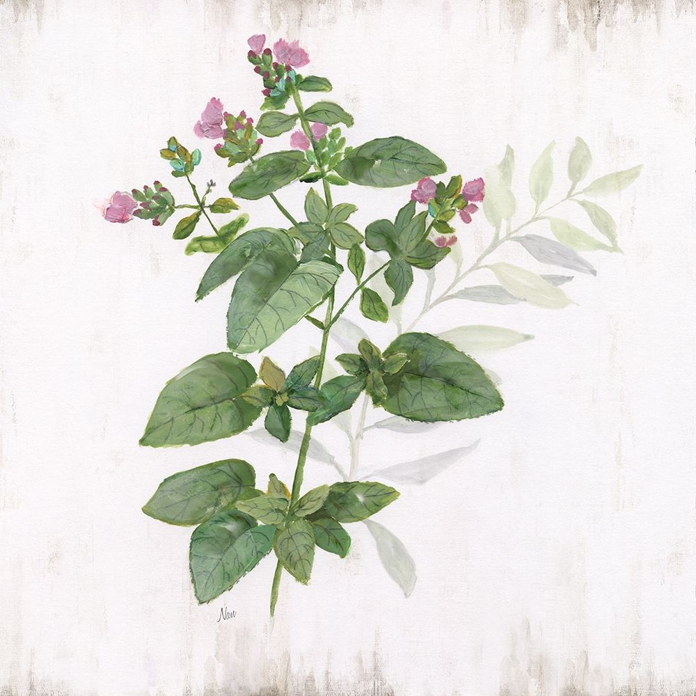 Kitchen Garden I art print by Nan for $57.95 CAD