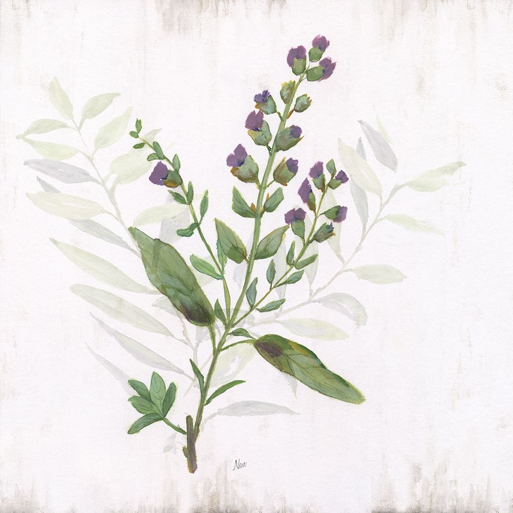 Kitchen Garden II art print by Nan for $57.95 CAD
