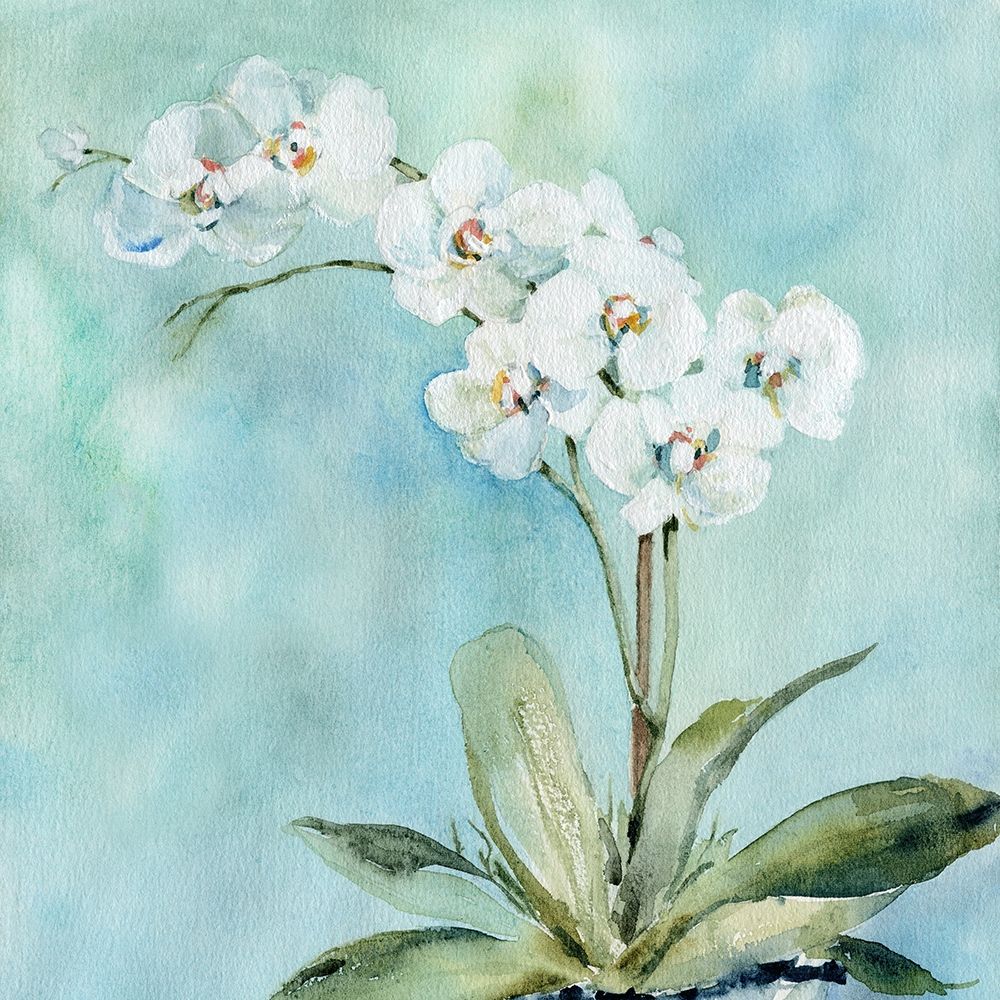 Sunlit Orchid art print by Carol Robinson for $57.95 CAD