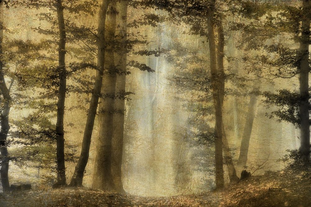 Golden Magic art print by Irene Weisz for $57.95 CAD