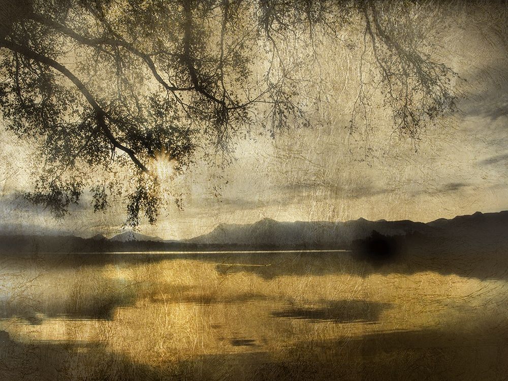 Golden Staffelsee Lake art print by Irene Weisz for $57.95 CAD