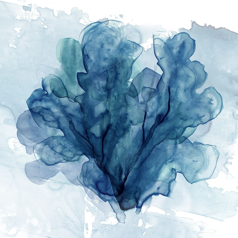 Coastal Coral II art print by Carol Robinson for $57.95 CAD