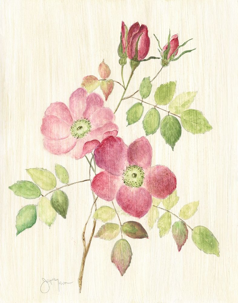 Dusty Rose I art print by Tava Studios for $57.95 CAD