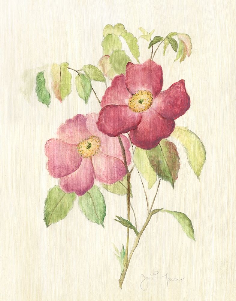 Dusty Rose II art print by Tava Studios for $57.95 CAD