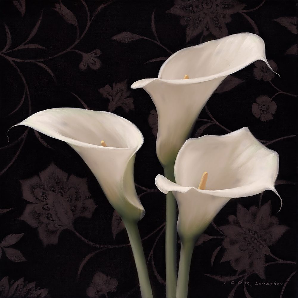 Calla Elegante art print by Igor Levashov for $57.95 CAD