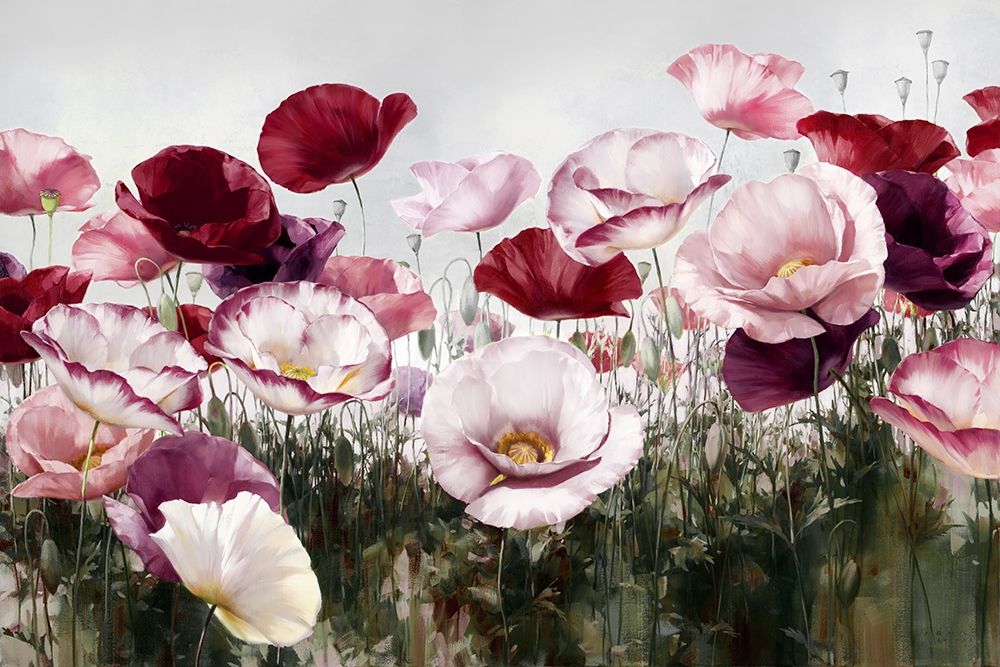 Royal Poppy art print by Igor Levashov for $57.95 CAD