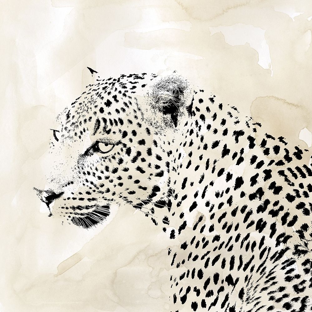 Leopard Spots II art print by Carol Robinson for $57.95 CAD