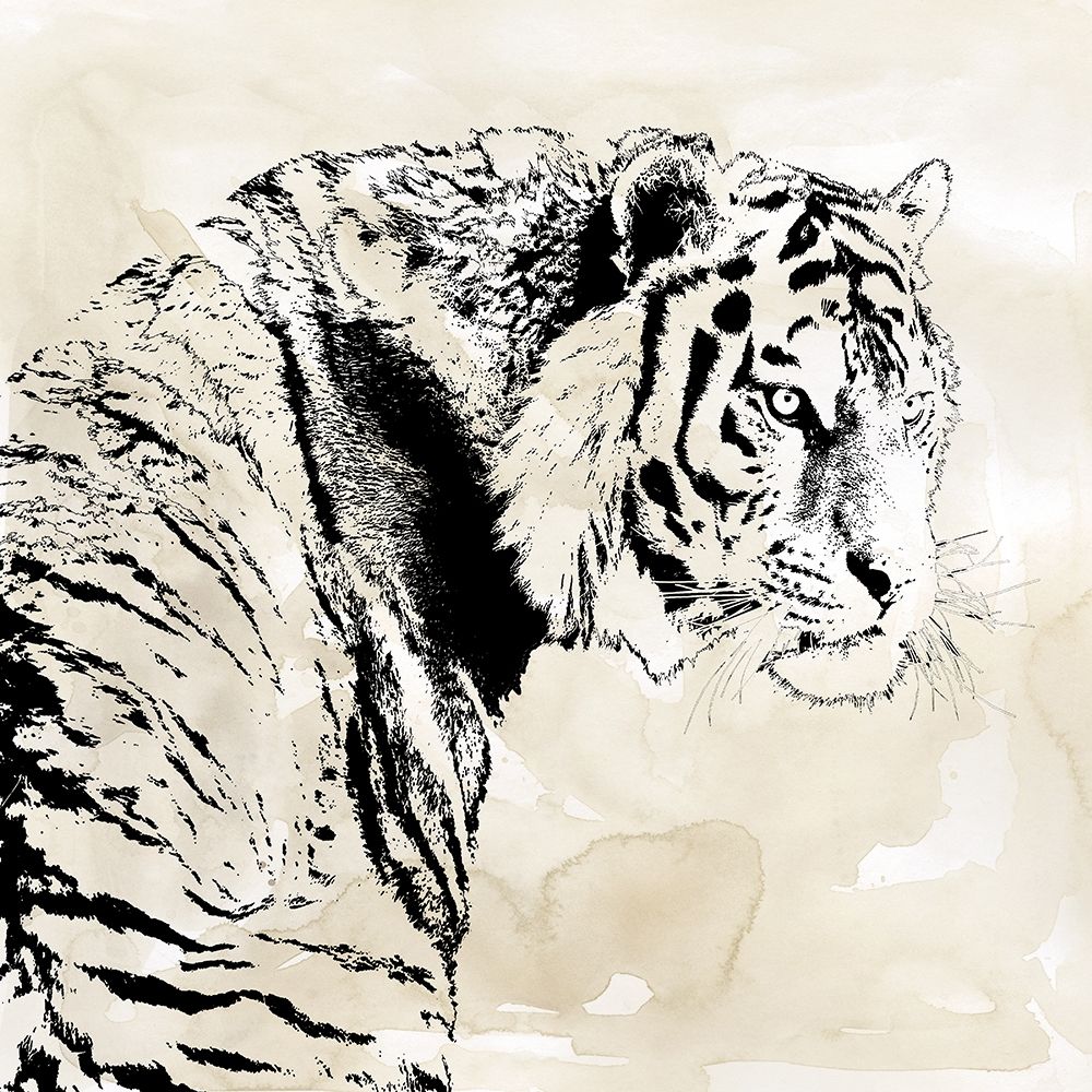 Tiger Stripes I art print by Carol Robinson for $57.95 CAD