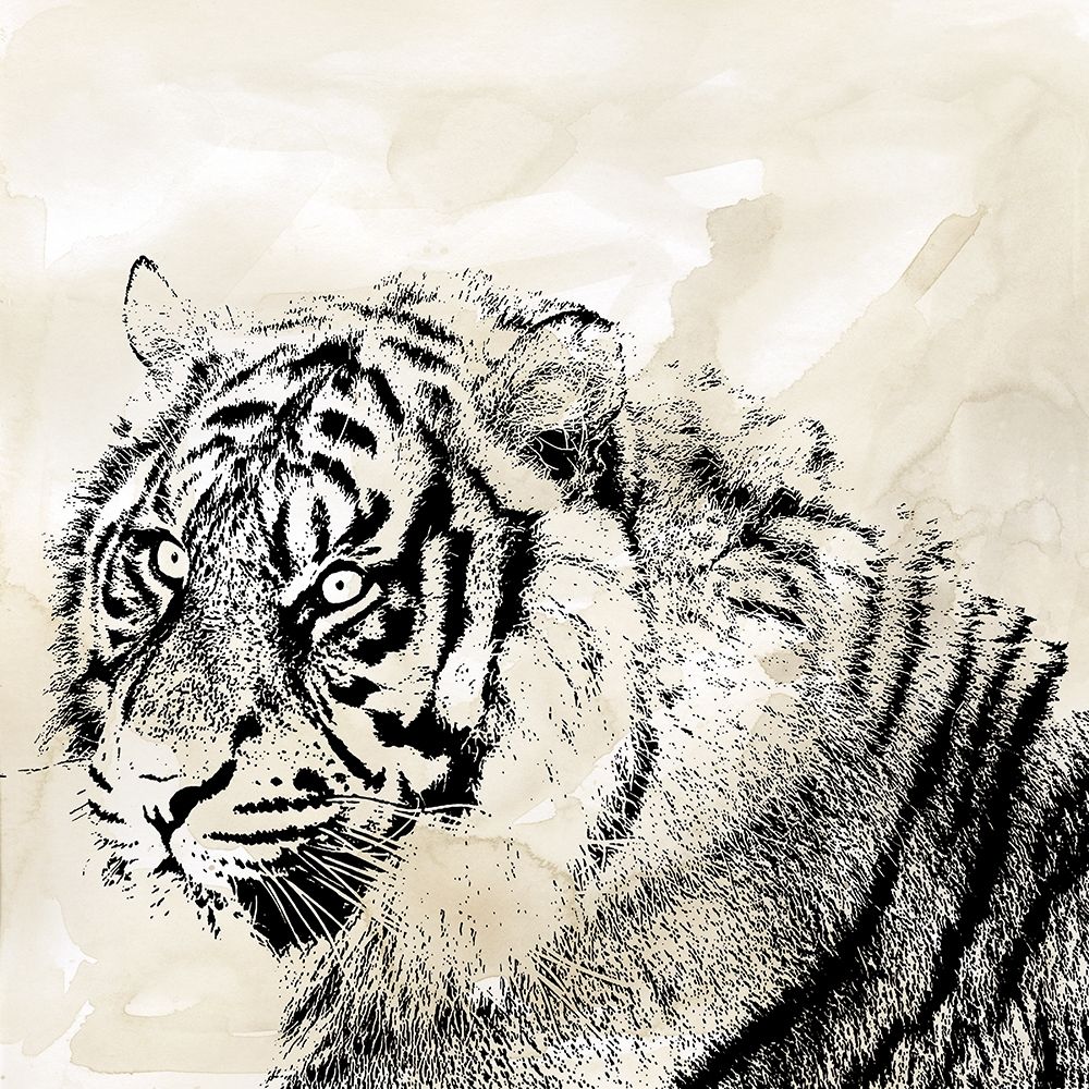 Tiger Stripes II art print by Carol Robinson for $57.95 CAD