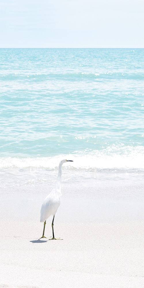 Summer Egret I art print by Natalie Carpentieri for $57.95 CAD