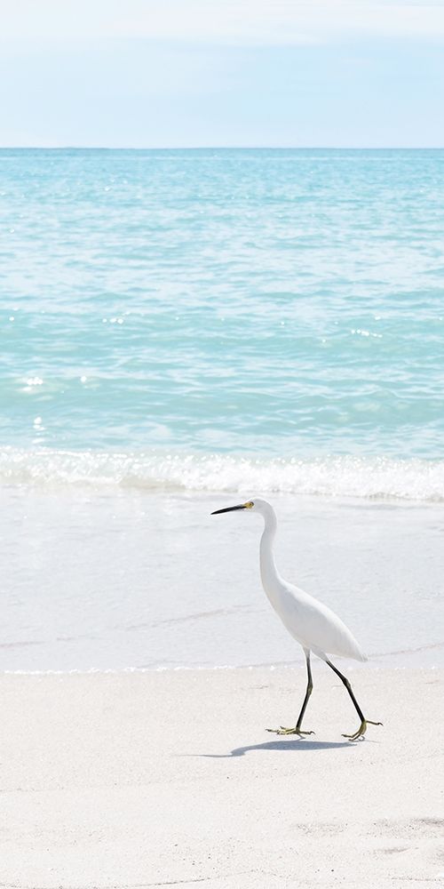 Summer Egret II art print by Natalie Carpentieri for $57.95 CAD