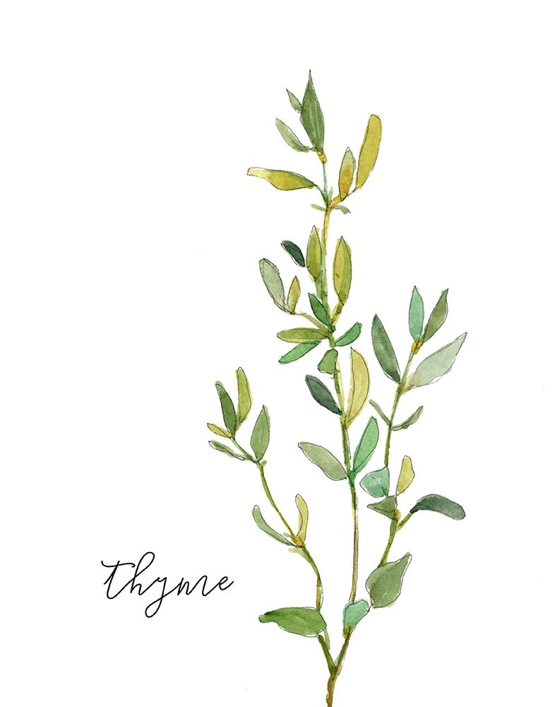 Fresh Sprig Thyme art print by Carol Robinson for $57.95 CAD