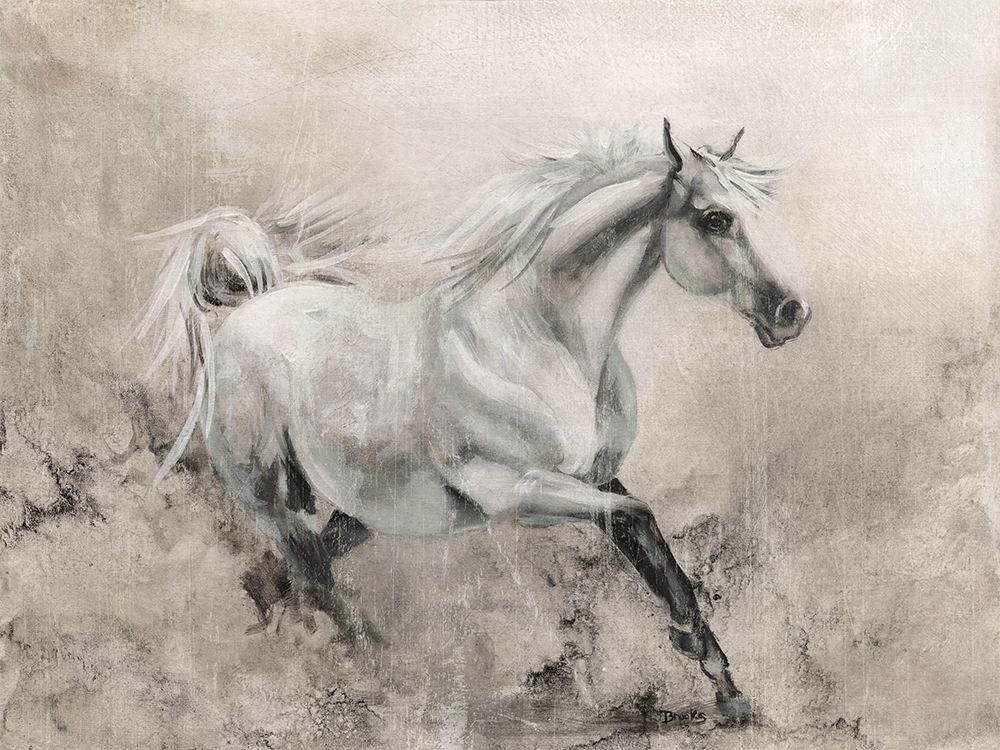 Majestic Stallion I art print by Donna Brooks for $57.95 CAD