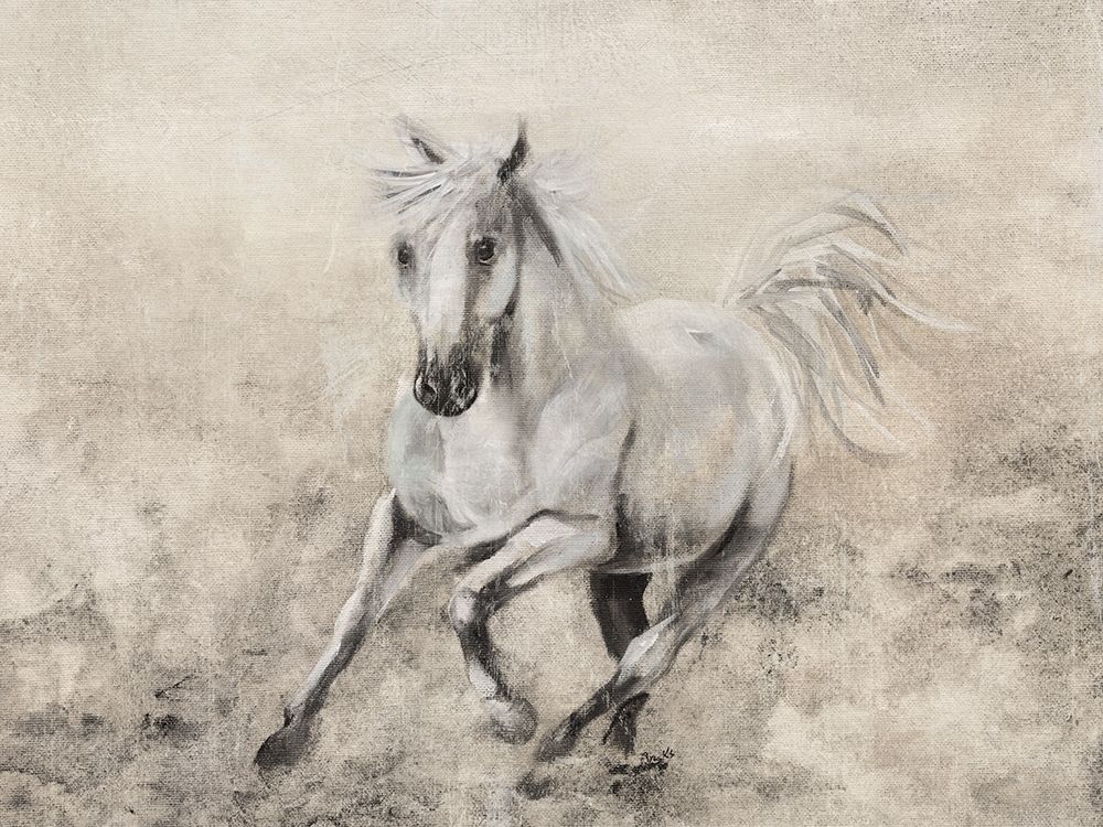 Majestic Stallion II art print by Donna Brooks for $57.95 CAD