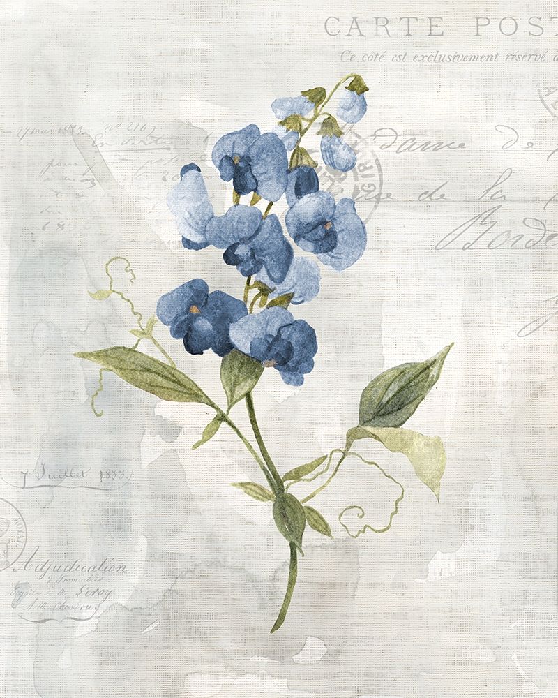 Blue Linen Sweet art print by Carol Robinson for $57.95 CAD