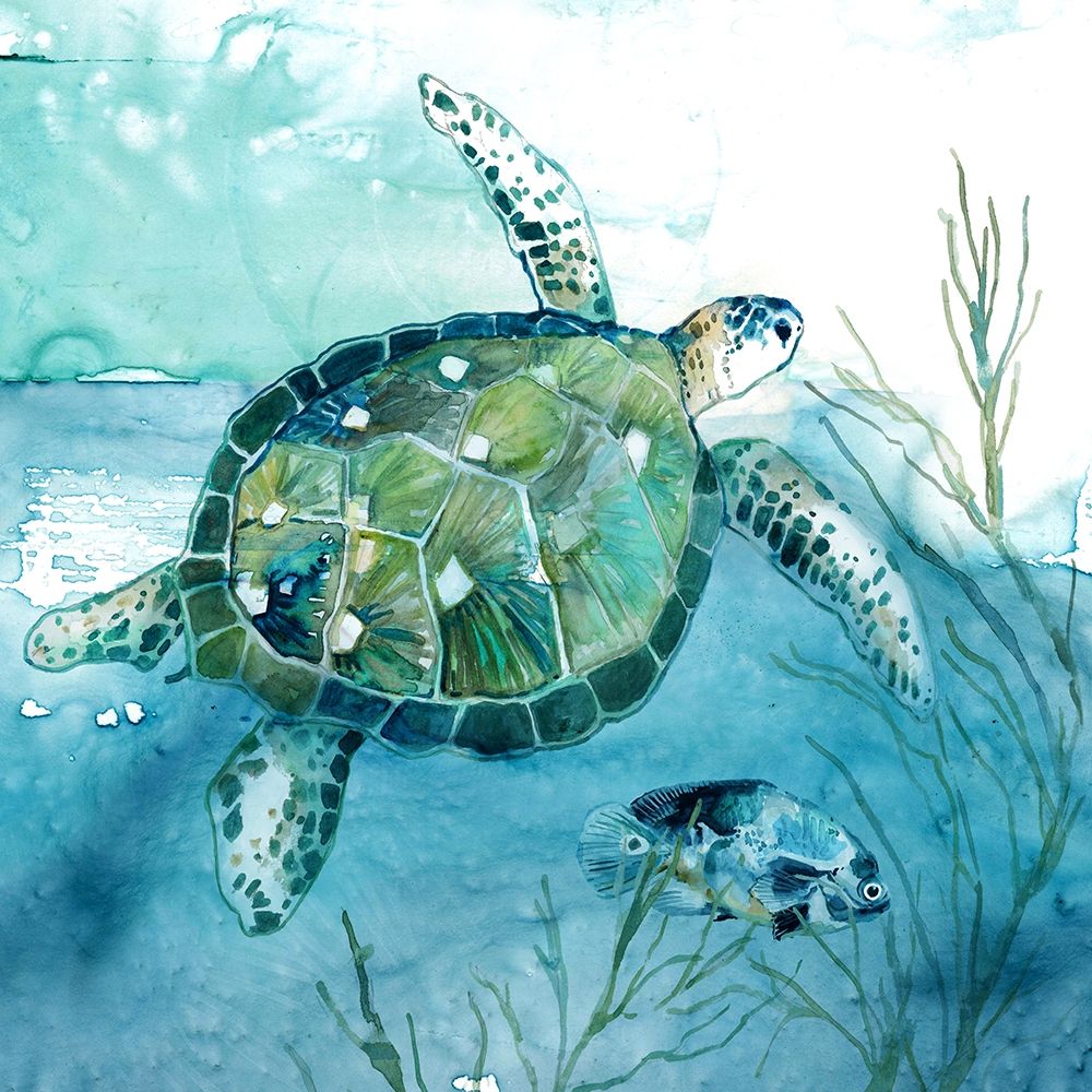 Delray Sea Turtle I art print by Carol Robinson for $57.95 CAD