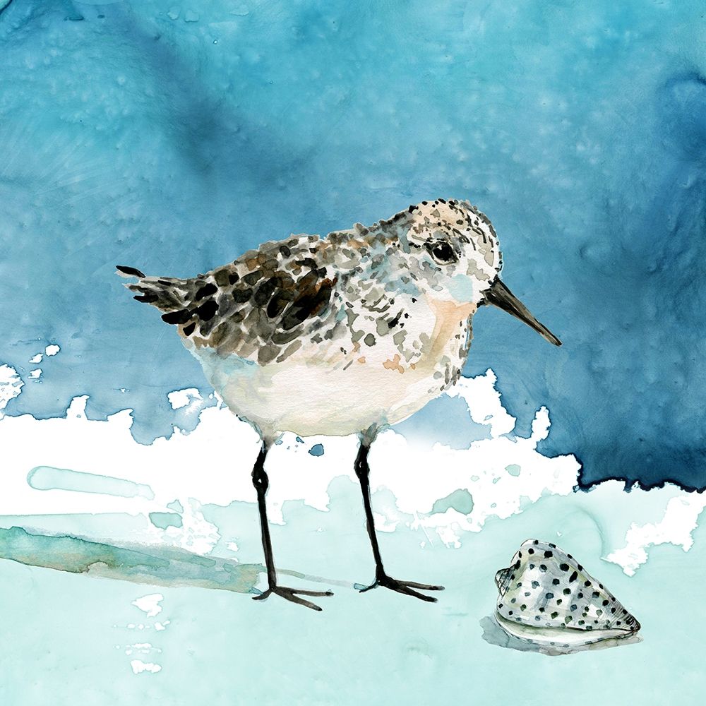 Delray Sandpiper I art print by Carol Robinson for $57.95 CAD