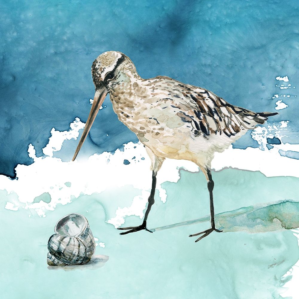 Delray Sandpiper II art print by Carol Robinson for $57.95 CAD