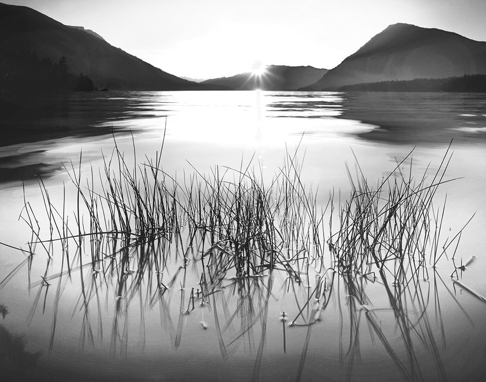 Whisper Lake art print by Charles Gurche for $57.95 CAD