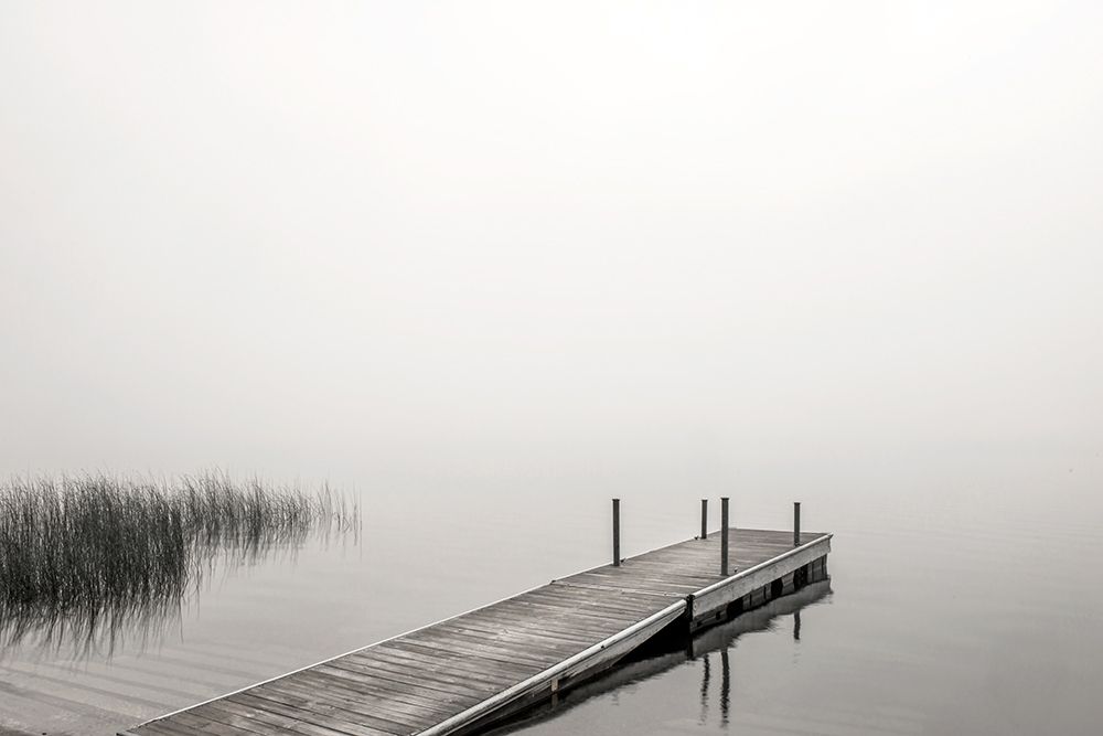 Morning Mist art print by Peter Hawkins for $57.95 CAD