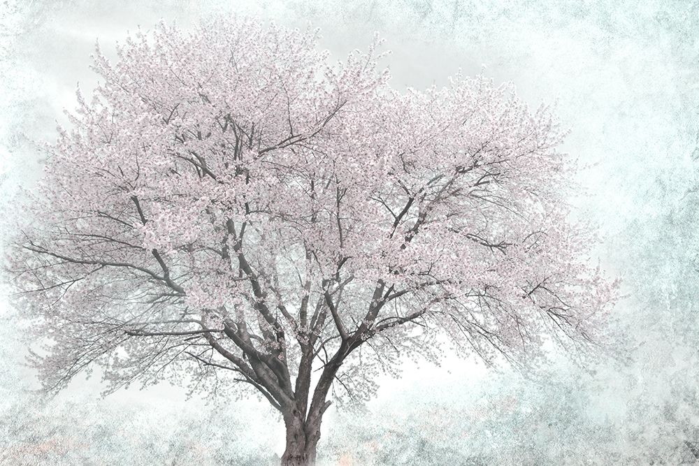 A Feel of Spring I art print by Irene Weisz for $57.95 CAD