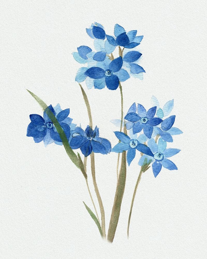 Blue Blossom Botanical I art print by Tava Studios for $57.95 CAD