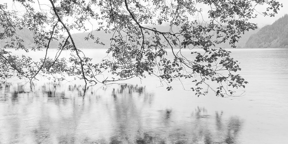 Lake Crescent art print by Don Paulson for $57.95 CAD