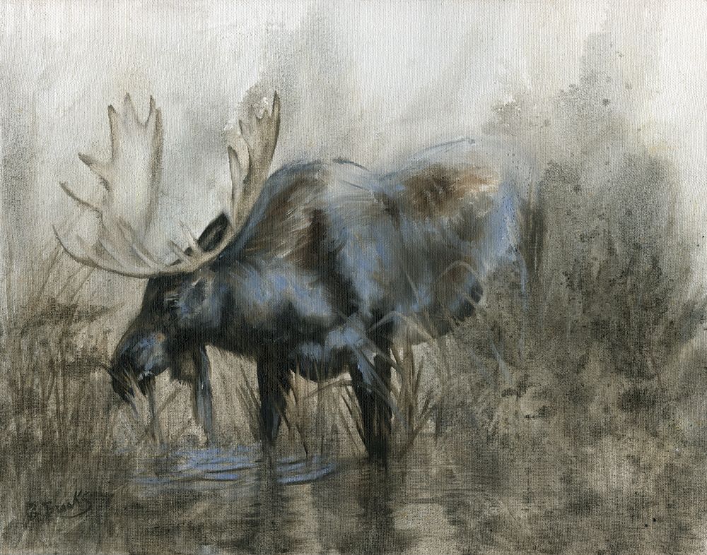 Majestic Elk art print by Donna Brooks for $57.95 CAD