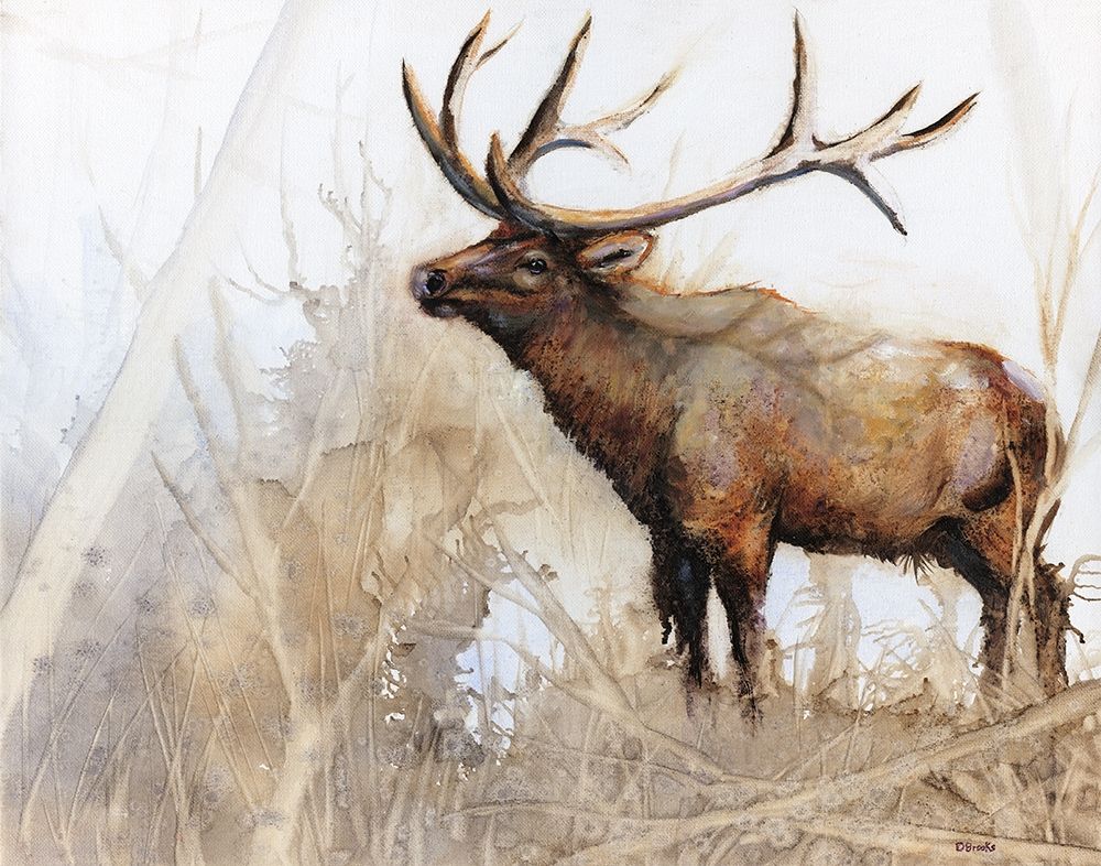 Majestic Moose art print by Donna Brooks for $57.95 CAD