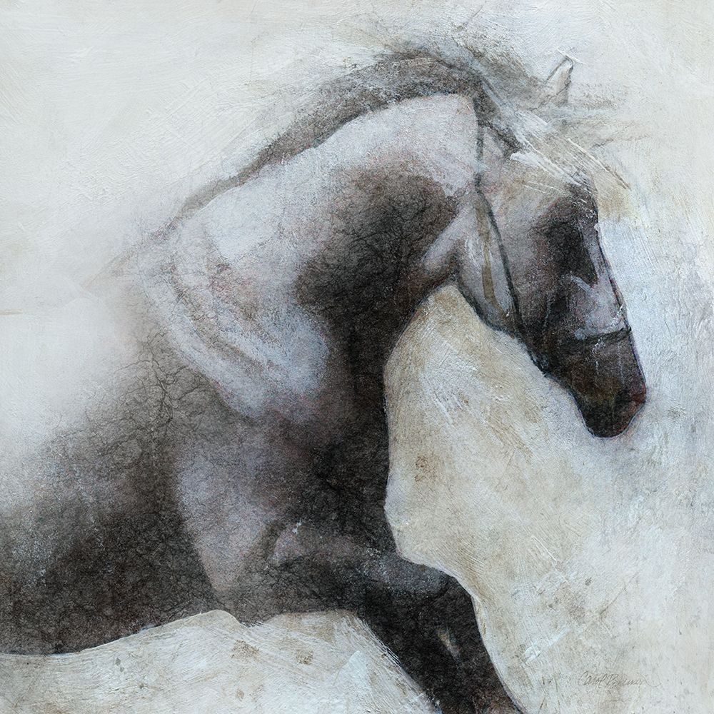 Misted Shadows art print by Carol Robinson for $57.95 CAD