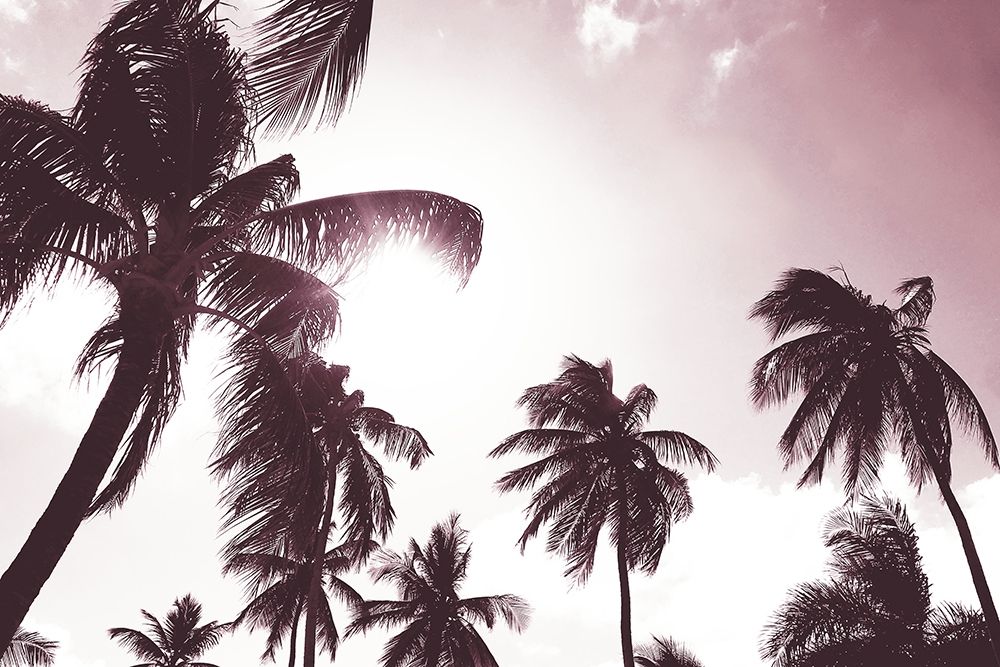 Palm Sunshine art print by Natalie Carpentieri for $57.95 CAD