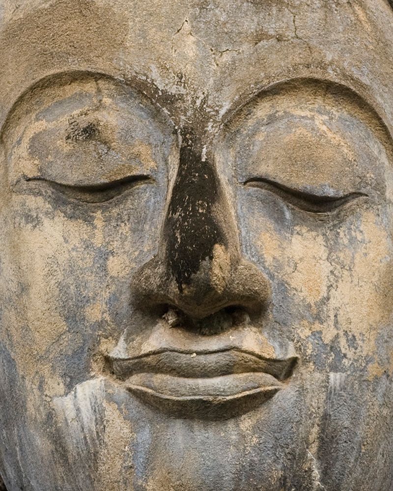 Serene Buddha art print by Alison Wright for $57.95 CAD
