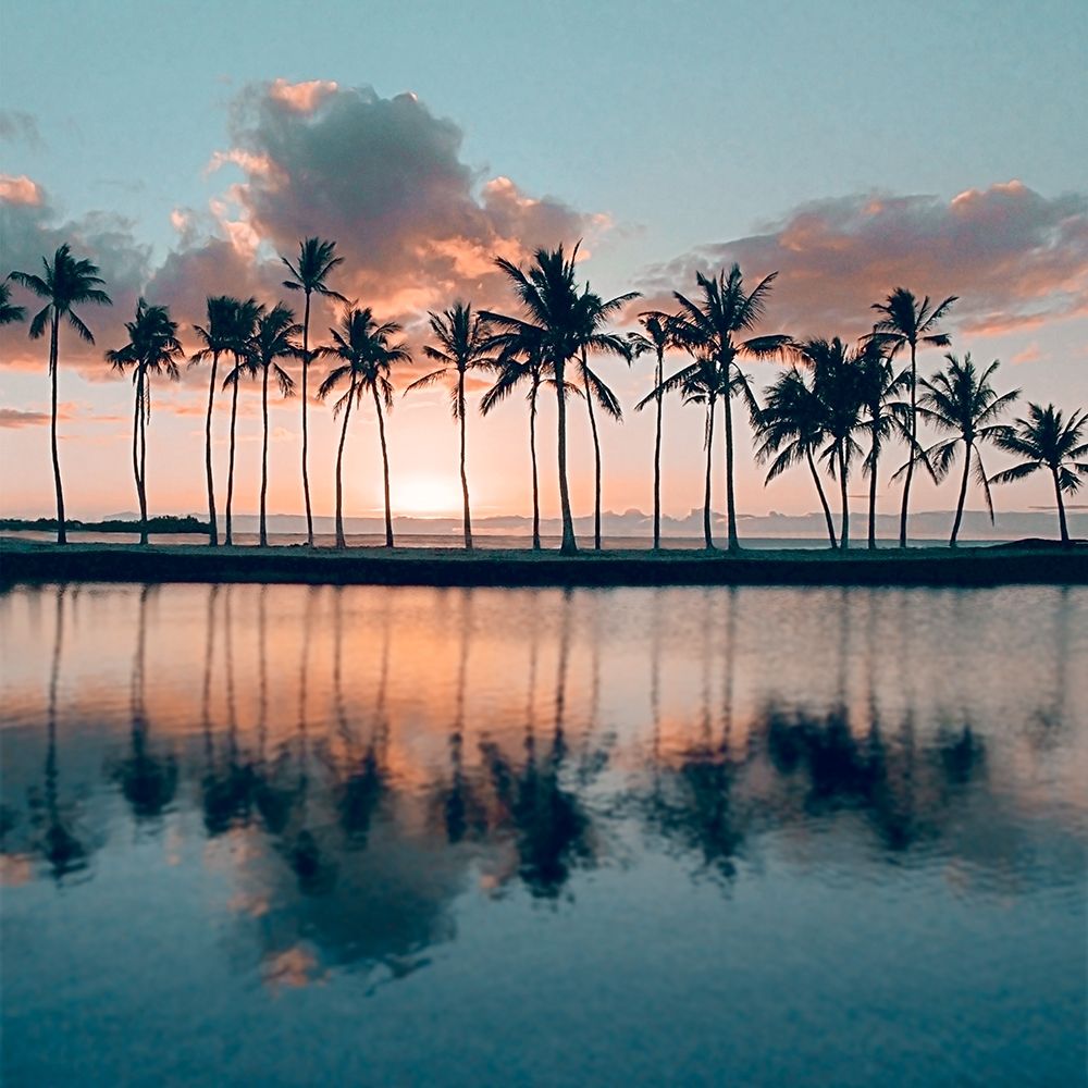 Big Island Palms art print by Charles Gurche for $57.95 CAD