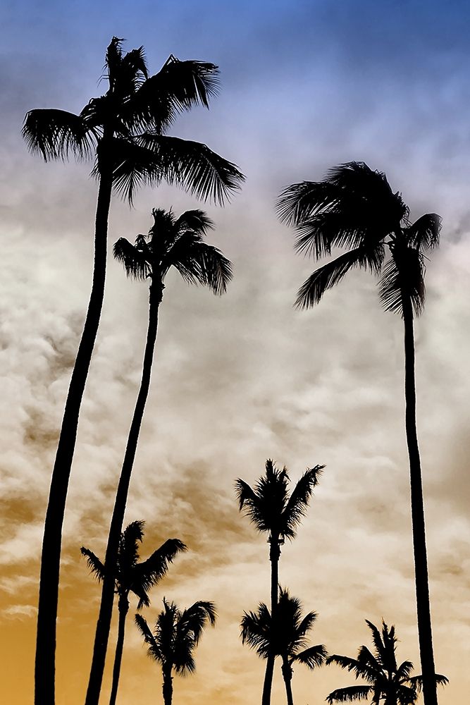 Evenings Edge I art print by Natalie Carpentieri for $57.95 CAD