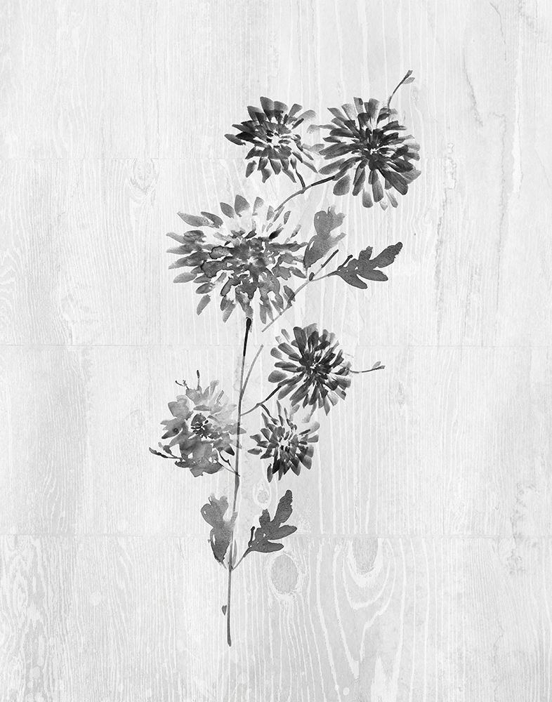 Neutral Meadow II art print by Conrad Knutsen for $57.95 CAD