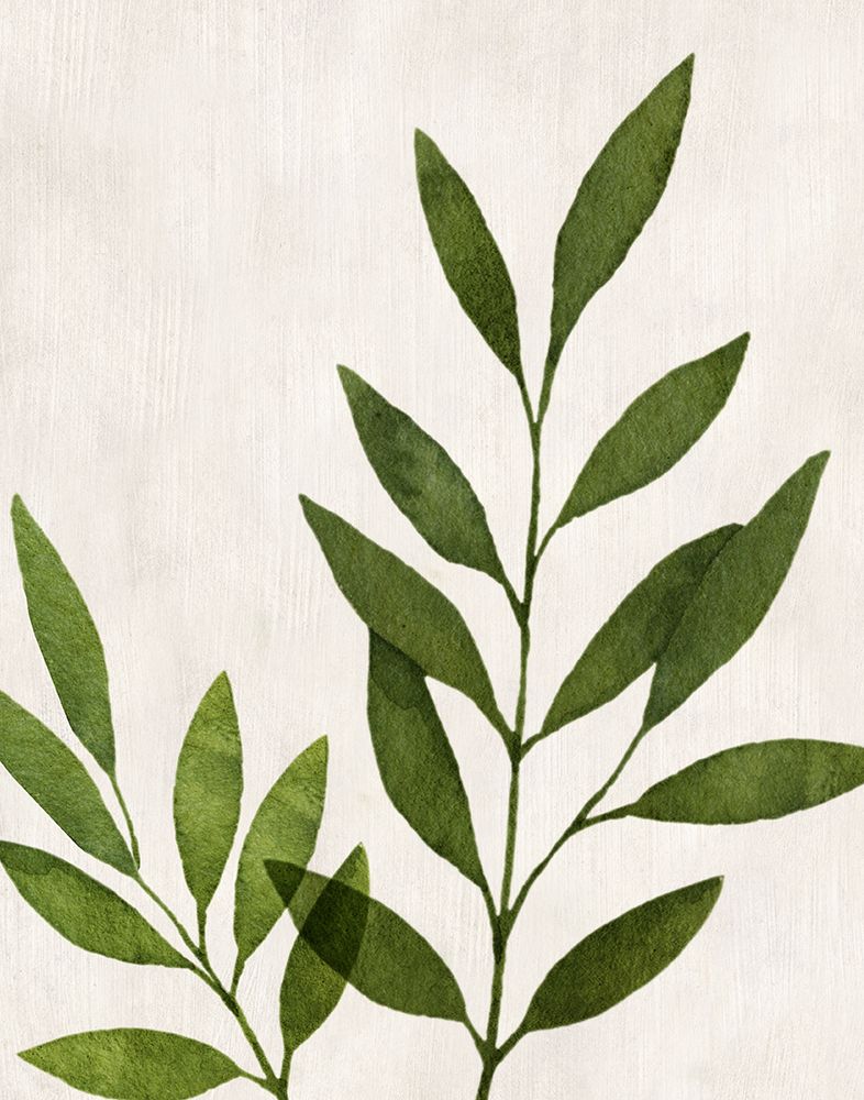 Botanical Wash IV art print by Conrad Knutsen for $57.95 CAD