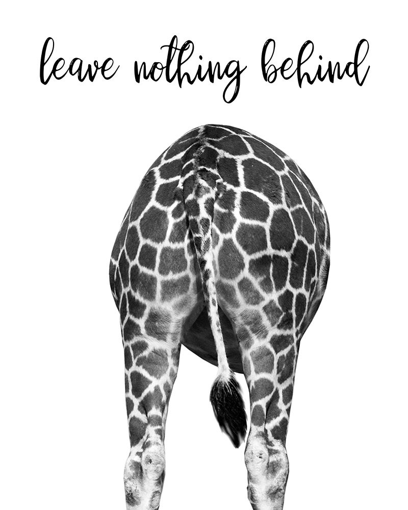 Giraffe Bum art print by Danita Delimont for $57.95 CAD
