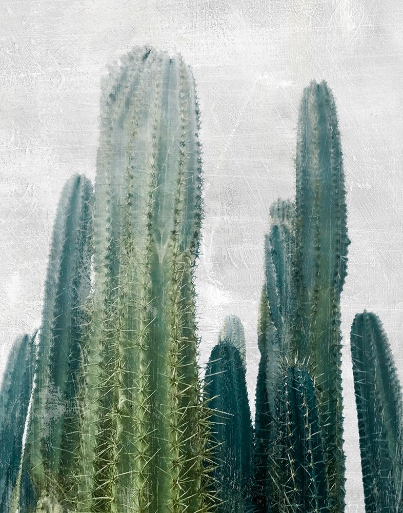 Aruba Cacti I art print by Natalie Carpentieri for $57.95 CAD